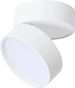 Abigali Commercial lampă de tavan 1x18 W alb MBD-W-18-120WW