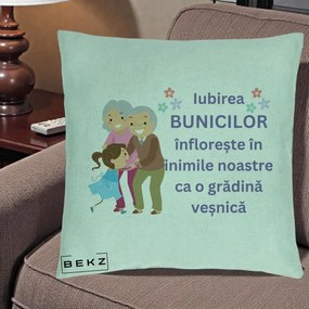 Cadou pentru Bunici - Perna Personalizata Bunicii Iubirea Infloreste Bunici cu Nepoata Colorat, 40x40 cm, Verde Menta, Husa Detasabila, Perna Inclusa, BEKZ®