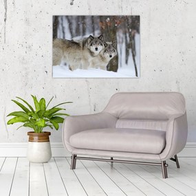 Tablou pe sticlă - Lupii în timpul iernii (70x50 cm)