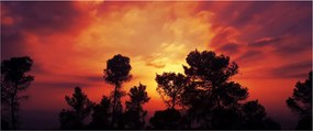 Tablou apus de soare (120x50 cm)