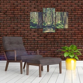 Tablou cu drum între copaci (90x60 cm)