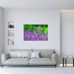 Tablou cu flori de luncă violete (90x60 cm)