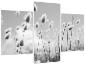 Tablou - Boho iepuraș coadă de iarbă (90x60 cm)