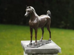 Statuie de bronz moderna Arabian Horse 30x10x33 cm