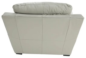 Fotoliu piele, piele naturală Pampas Hellgrau M9010, DANILO