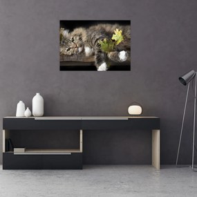 Tablou pe sticlă - Pisica mincinoasă (70x50 cm)