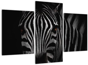 Tablou cu zebră (90x60 cm)