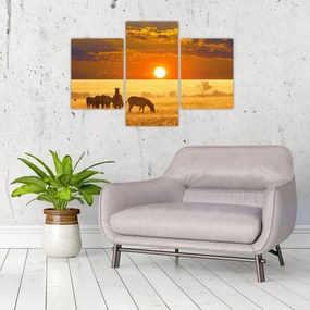 Tablou - Zebre cu apus de soare (90x60 cm)