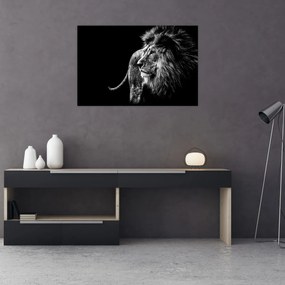 Tablou - Leu, alb și negru (90x60 cm)