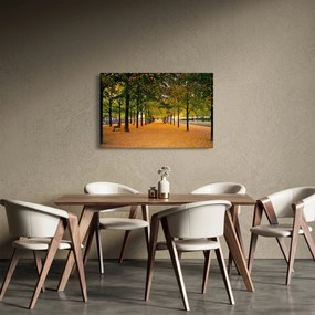 Tablou cu alee cu copaci în toamnă (90x60 cm)