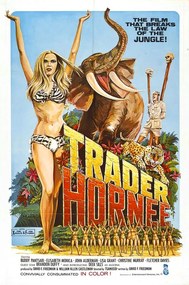 Ilustrație Trader Hornee