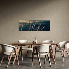 Tablou cu ierburi (cu ceas) (90x30 cm)
