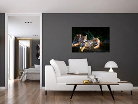 Tablou - Tigrii frați (90x60 cm)