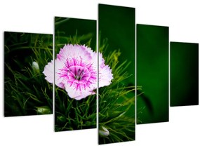 Tablou cu floare roz (150x105 cm)