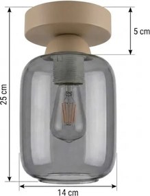 BRILAGI - Plafonieră LED R GLASS 1xE27/60W/230V Ø 14 cm bej/gri fumuriu