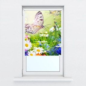 Fotojaluzele R012220R42150 (42x150 cm)