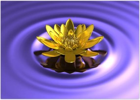 Tablou - Lotus (70x50 cm)