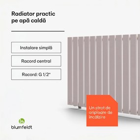 Blumfeldt Ontario, radiator, 100 x 60, conexiune laterală și centrală de 1/2 inch, montare pe perete, 681 W