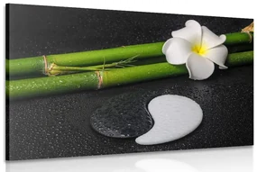 Tablou Spa natura moartă și pietre Yin și Yang