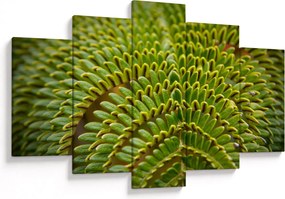 Tablou - Fern (150x105 cm)