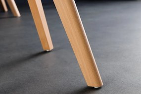 Set de 4 scaune, Lemn Fag Natur, Plastic Transparent, Scandinavia A-44165 VC