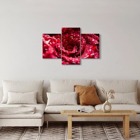 Tablou cu floarea trandafirului roșu (90x60 cm)