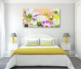 Tablou flori de grădină