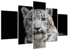 Tablou - Snow Leopard (150x105 cm)