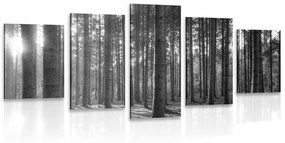 Tablou 5-piese dimineața în pădure în design alb-negru