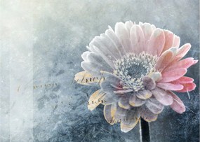 Tablou pe sticlă - Floare de iarnă (70x50 cm)