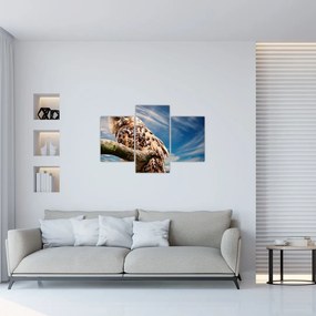 Tablou - Bufniță (90x60 cm)