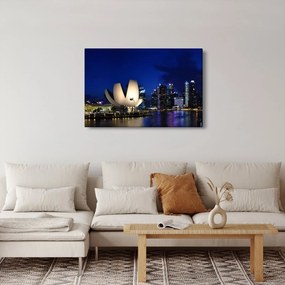 Tablou Singapore nocturn (90x60 cm)