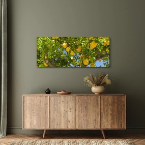 Tablou - Lămâiță (120x50 cm)
