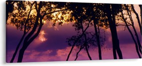 Tablou - Copaci la apus de soare (120x50 cm)