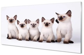 Tablouri acrilice pisici de talie mică