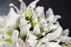 Aranjament floral design LUX BOWL AURATUM 1142370.96