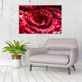 Tablou cu floarea trandafirului roșu (90x60 cm)