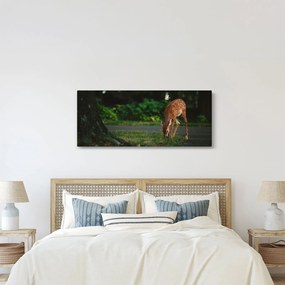 Tablou cu pui de cerb (120x50 cm)