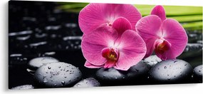 Tablou - Orhidee roz cu frunze de palmier (120x50 cm)
