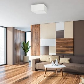 Plafonieră ALBION 2xE27/60W/230V