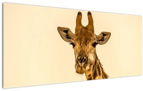 Tablou cu girafe (120x50 cm), în 40 de alte dimensiuni noi