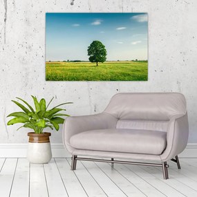 Tablou cu copaci pe luncă (90x60 cm)
