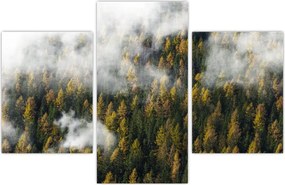 Tablou - Pădure în nori (90x60 cm)