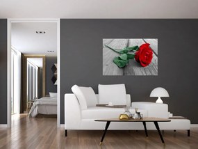 Tablou - Trandafir roșu cu tulpină verde (90x60 cm)