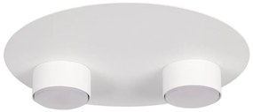 Plafonieră STAR 2xGX53/12W/230V alb