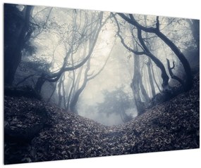 Tablou - Pădurea în ceață (90x60 cm)
