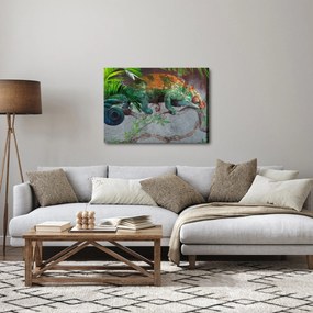Tablou - Cameleon (70x50 cm)