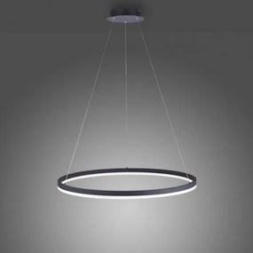 Lustră LED dimabilă pe cablu TITUS LED/50W/230V Paul Neuhaus 2383-13