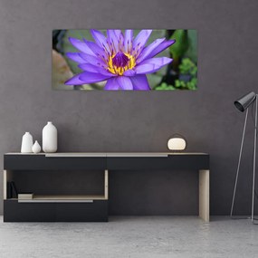 Tablou - Floare violet (120x50 cm)