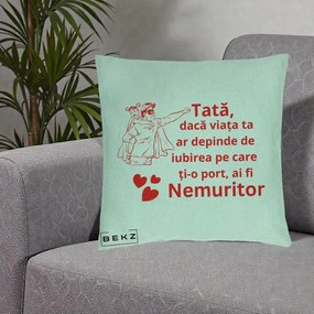 Cadou pentru Tata - Perna Personalizata Tata Nemuritor cu Fetita, 40x40 cm, Verde Menta, Husa Detasabila, Perna Inclusa, BEKZ®